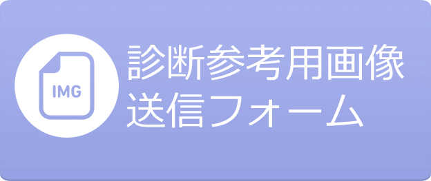 診断参考用画像送信フォーム